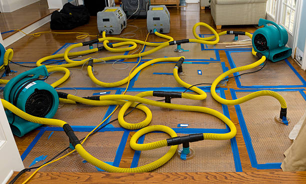 Professional Crawl Space Water Removal technician working in Garden Grove, FL